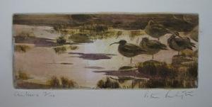 item11