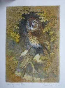 item16