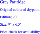 Grey Partridge